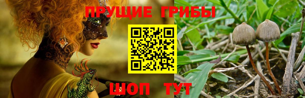 Псилоцибиновые грибы MAGIC MUSHROOMS Можга